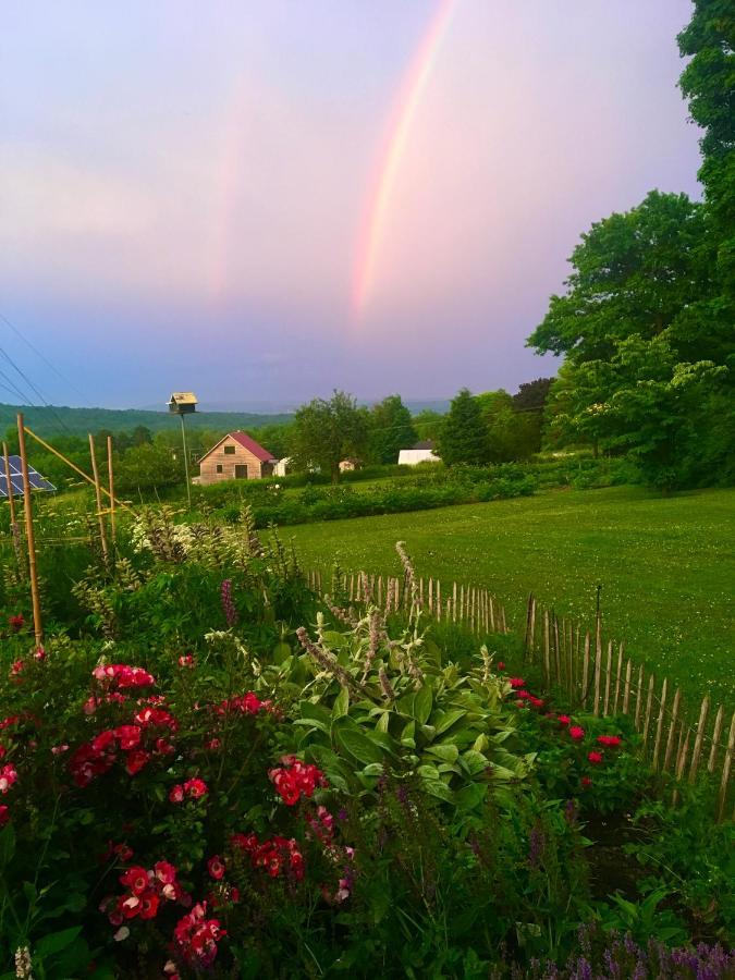 Enfield Manor Bed&Breakfast And Vacation Rental Newfield Buitenkant foto