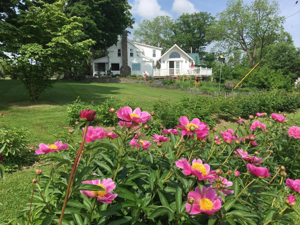 Enfield Manor Bed&Breakfast And Vacation Rental Newfield Buitenkant foto