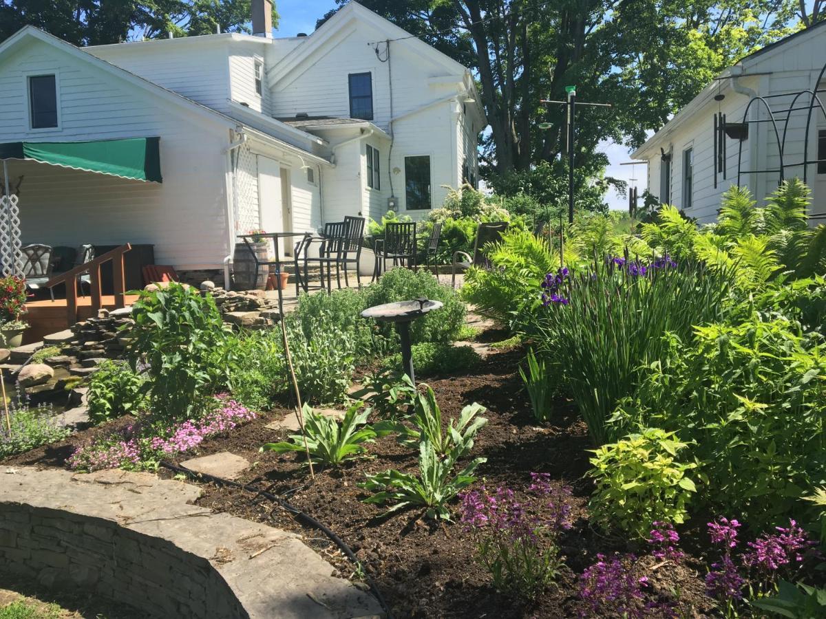 Enfield Manor Bed&Breakfast And Vacation Rental Newfield Buitenkant foto